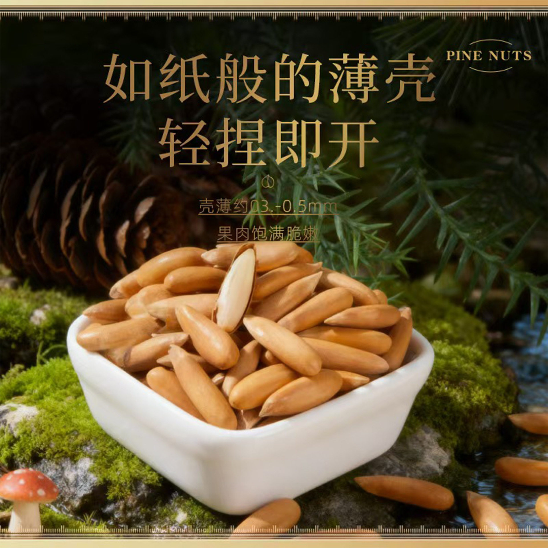Boxed Pine Nuts, Afghan Pine Nuts, Large Particles, Individually Packaged, Oem Private Label, Dropshipping Nut Snacks