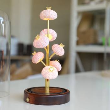 Sea Urchin Jellyfish Gift Night Light Shell DIY Material Birthday Gift Ornaments Decoration