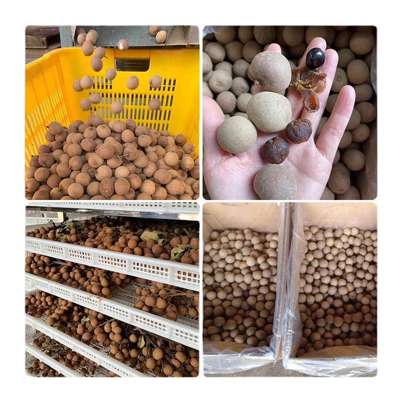 Bulk Dried Longan with Skin, 2025 New Crop, Naturally Sun-Dried, Premium Grade, Large Fruit, Guangmao Small Pit, Sulfur-Free Dried Longan