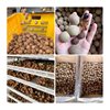 Bulk Dried Longan with Skin, 2025 New Crop, Naturally Sun-Dried, Premium Grade, Large Fruit, Guangmao Small Pit, Sulfur-Free Dried Longan