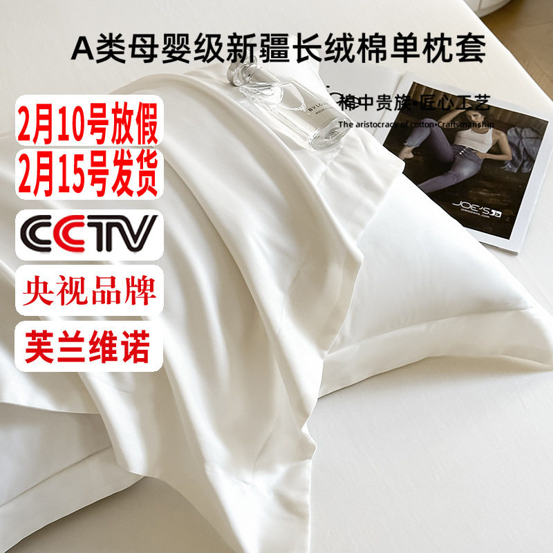 100 Class A Xinjiang Long-staple Cotton Cotton Pillowcase Pair of Cotton Summer Pillow Protective Cover for Single Pillow