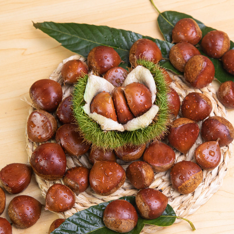 Fresh Chestnuts in Season 2025 Fresh Tender Chestnuts Hairy Chestnuts Farm Chestnuts Non-Cone Chestnuts Small Oil Chestnuts