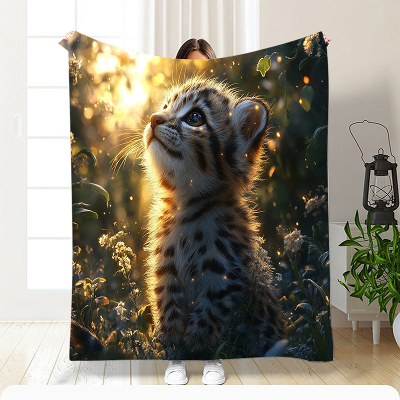 Cross-border Amazon flannel single-sided digital printed blanket nap air conditioning blanket sofa small blanket a piece