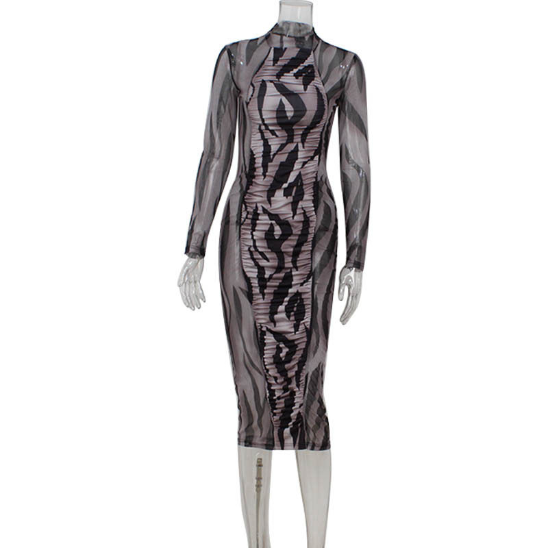 Fashionable Slim Fit Mesh Printed Ruched Bodycon Dress Long Sleeve High Neck Elegant Style Perfect for Evening Events
