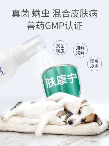 Страненьши кошки Спецификация кошачья, цивидальная, грибковая рыбная экзема дерматит, спрей