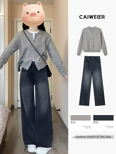 Элитный осенний комплект, городской стиль