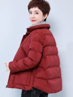 Пуховик с пухом, короткая зимняя модная куртка, 2019 года, в корейском стиле, увеличенная толщина