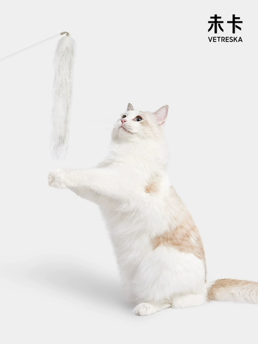 Не -карт дразнящий кошка Pet Cat