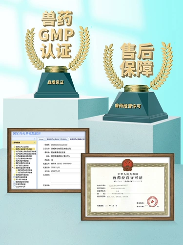 Страненьши кошки Спецификация кошачья, цивидальная, грибковая рыбная экзема дерматит, спрей