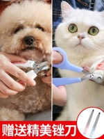 Домашняя кошка, собака, собачья гвоздь