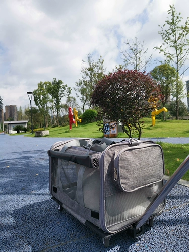 Портативный дышащий вместительный и большой чемодан для выхода на улицу