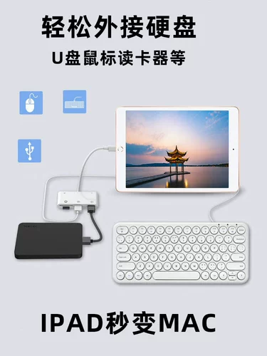 科乐多 Молния Witching Ipad Converter Hard Disk применим к Apple Lighting для USB -разъема