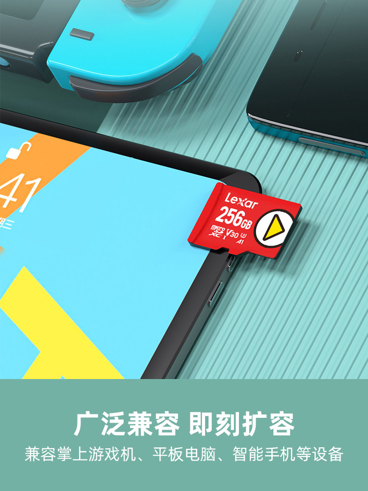 Карта памяти microSD Lexar PLAY 256GB A2 V30