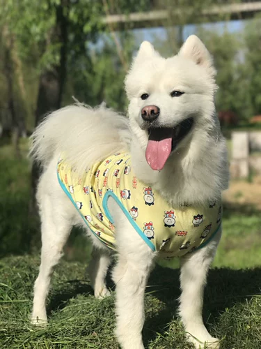 Летняя тонкая дышащая майка топ, хлопковая футболка, подходит для подростков