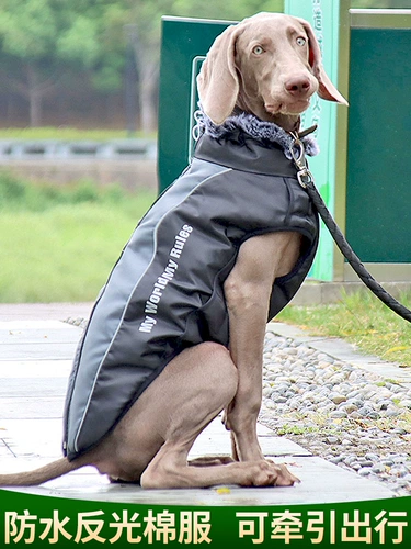 Большая собачья одежда осень и зимние золотые волосы Лабрадо Шиба Ину Средние собаки Большие собаки в зимней теплой густой хлопковой куртке