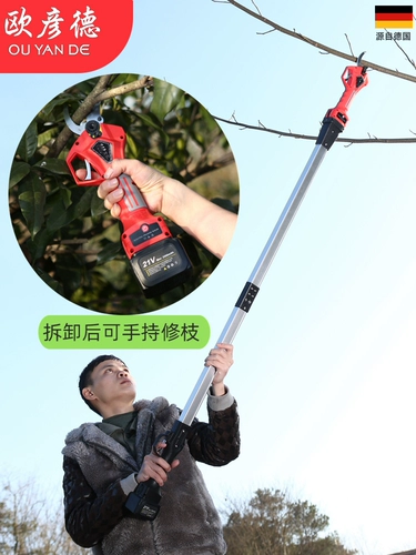 Немецкая зарядка Высокие ветви вырезают электрические ножницы литиевые батареи, срезанные ветви, телескопические, высокие котлеты, ветви фруктовых деревьев деревьев