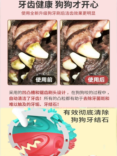 Среднешневатая большие собачьи собаки протекающие игрушки интеллектуально вокальный звук Золотой Моша