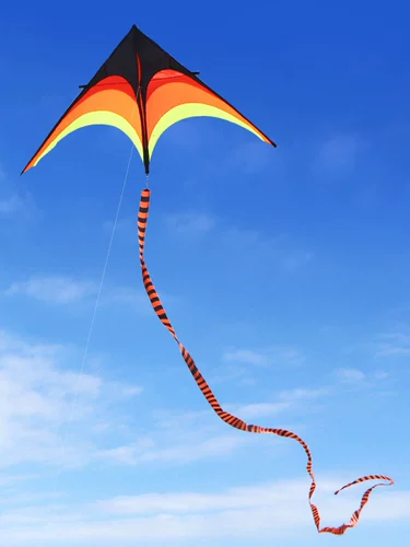 Очень большой профессиональный воздушный змей, коллекция 2021, новая коллекция