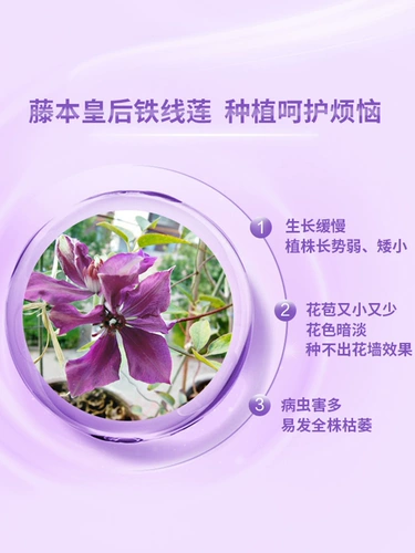 Мелука садовник растения земля Купленты железо.