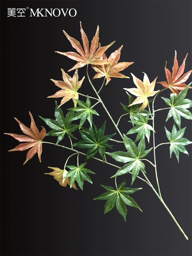 Мей -воздушное симуляция кленового листа листового дерева