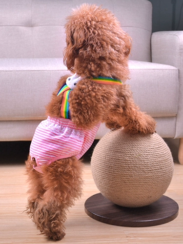 Собачья физиологические штаны Женщины Собаки Тедди маленькая собака сука тетя тетя, тетя полотенце, зона контрацепции, зона, животные менструальные штаны