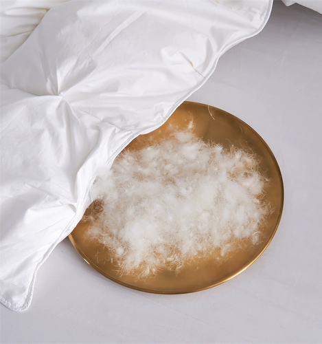 Пятизвездочный отель вниз по одеяло 95 Белый гусь сгущенным зимним стеганым одеялом теплый весна и осенний одеяло с двумя людьми в течение года