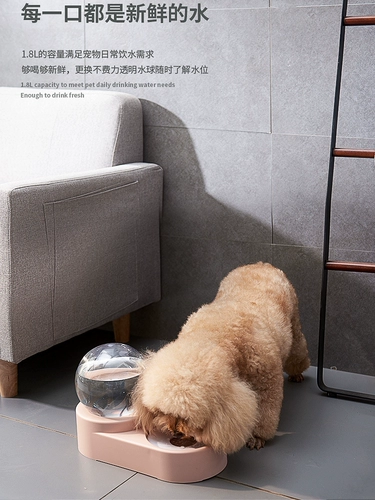 Кошачья кастрюля двойная чаша для собачьей чаши автоматическая питье