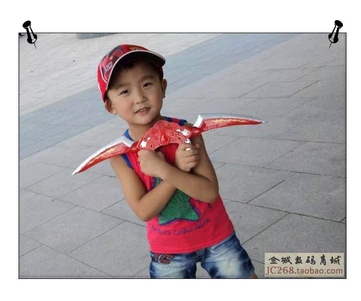 Sony W310 образец