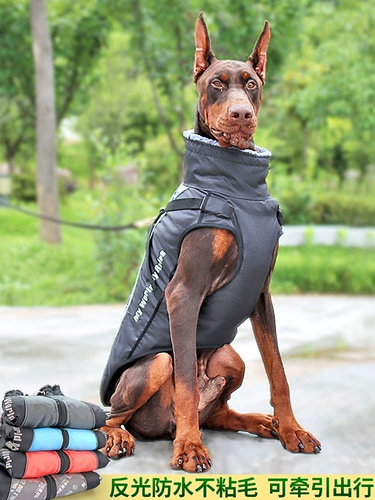 Большая собачья одежда осень и зимние золотые волосы Лабрадо Шиба Ину Средние собаки Большие собаки в зимней теплой густой хлопковой куртке