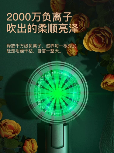 Leiwa не хватает ионной фен с общежитием для общежития.