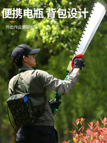 Германия Ou Yande Electric Raiders