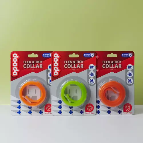 Купить товары Ошейник от блох, Ошейник для кошек, Ошейник для кошек от блох и клещей, Ошейник с репеллентом от насекомых, Тедди против блох Товары для домашних животных для котят и собак