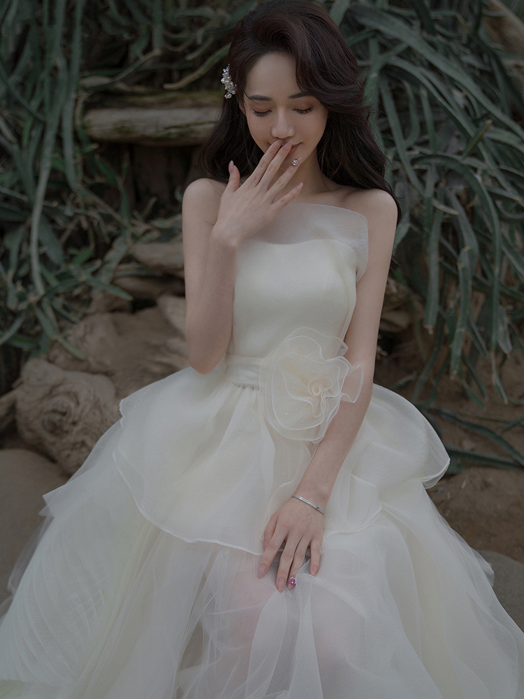 Wedding dress, colored advanced bag, french style, champagne color, suitable for teen, lace dress, fitted