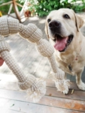 Игрушка для домашних животных Corki хлопковое хлопок хлопковой веревка большие маски Baste Dog Clog