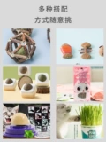 Мятная игрушка, популярно в интернете, избавление от скуки, кот