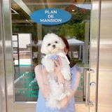 Шахматная сетка сетка Боуту Пету