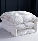 Пятизвездочный отель вниз по одеяло 95 Белый гусь сгущенным зимним стеганым одеялом теплый весна и осенний одеяло с двумя людьми в течение года