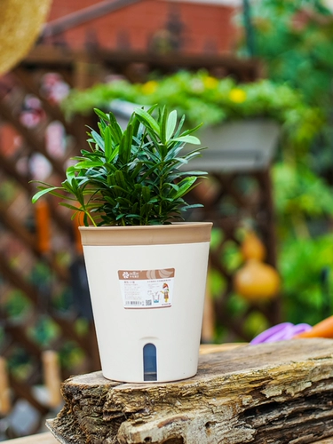 Японский пластиковый цветочный горшок, простой и элегантный дизайн, хорошо впитывает воду