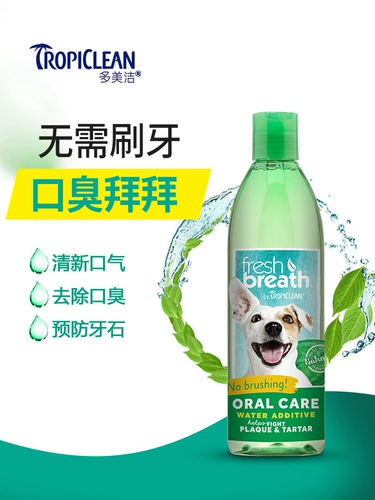 Мохи собака кошка