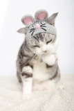 Семья Бао Семейство Unpeat Кот и собака Pure Cotton Cute Peach Festival Hat Pure Hand -Fail Christmas Pet Clothing