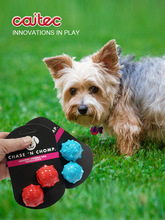 Мячи для собак фото