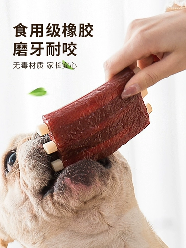 물리면 물리면 뼈 가 가 를 가다 내 민 작은 강아지 주 모 대형 테디 가 동물.