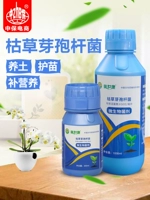 Doldbachabalbacteria Anti -Death SEDENTIONS ANT -HEAVEN STUBBLE SOUND Улучшение сосновой почвы микробного гриба агломерат и органические удобрения