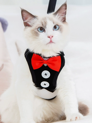 КОЖ ТОРКА ВЕРКА, ЧТОБЫ ВЫЛРИТЬ СПЕЦИАЛЬНЫЙ КОНТИРОВНЫЙ КОТ