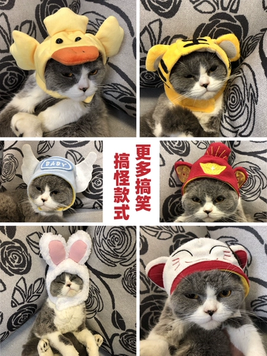 Шлем, аксессуар для волос, вязаная шапка, милый забавный шерстяной кролик, кот, лев, лягушка, наряжаться