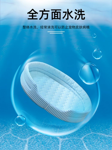 Собачья гнездо лето маленький живой коврик