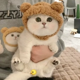 Милый аксессуар для волос, фотография, тряпичная кукла, популярно в интернете, Великобритания, домашний питомец