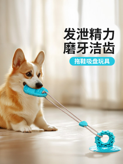 狗狗玩具吸盘耐咬磨牙解闷自嗨神器边牧消耗体力小狗玩具宠物用品
