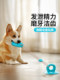 狗狗玩具吸盘耐咬磨牙解闷自嗨神器边牧消耗体力小狗玩具宠物用品
