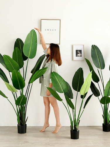 Смоделированные растительные растения, фальшивые дерево